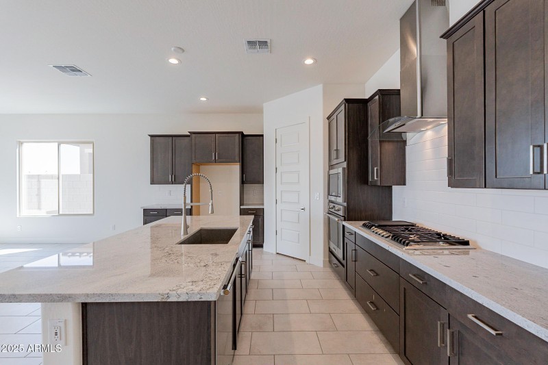 13-print-Ocotillo-13