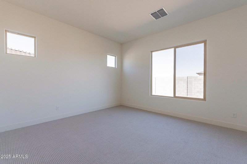 28-print-Ocotillo-28