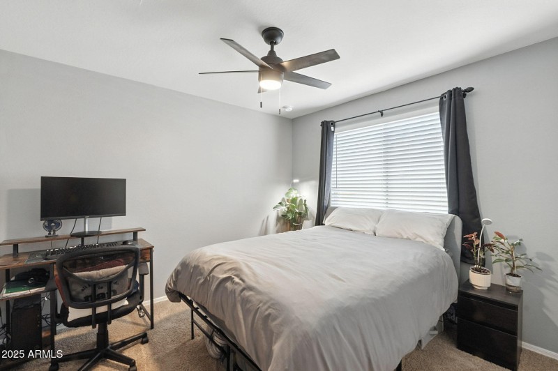 24-web-or-mls-Aster-24