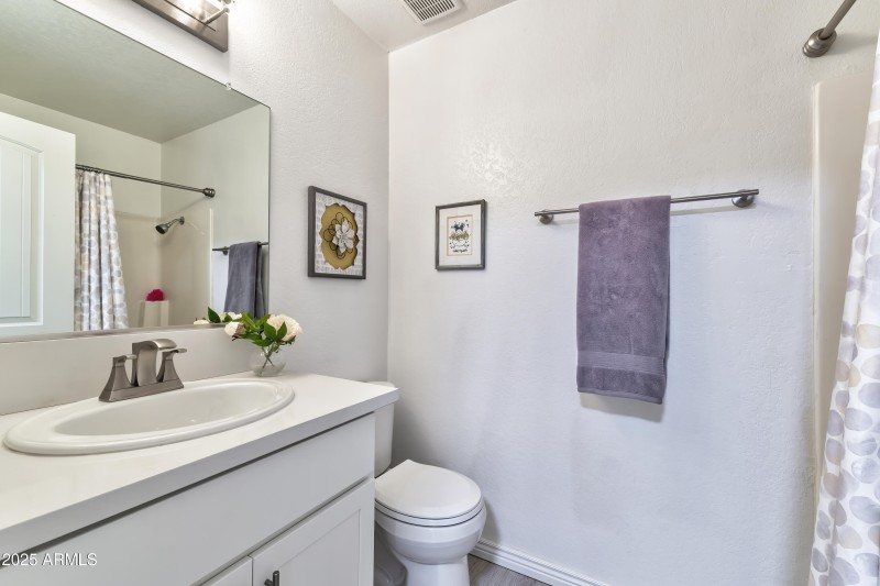 Shoshone Interior - 18