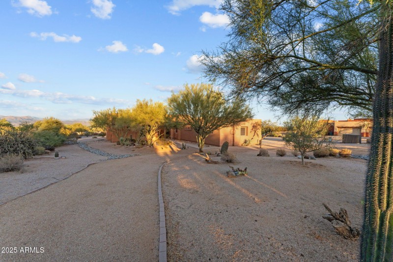 76-web-or-mls-DSC09995