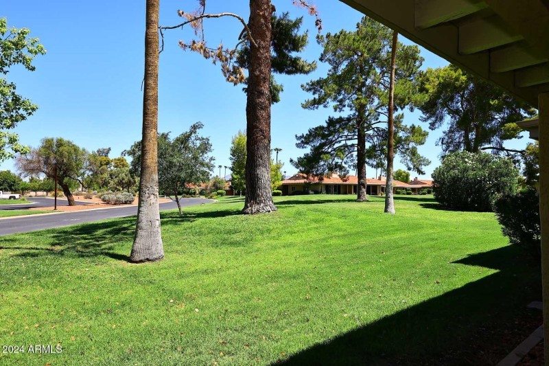 Covered Patio-View