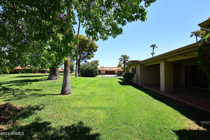 Backyard