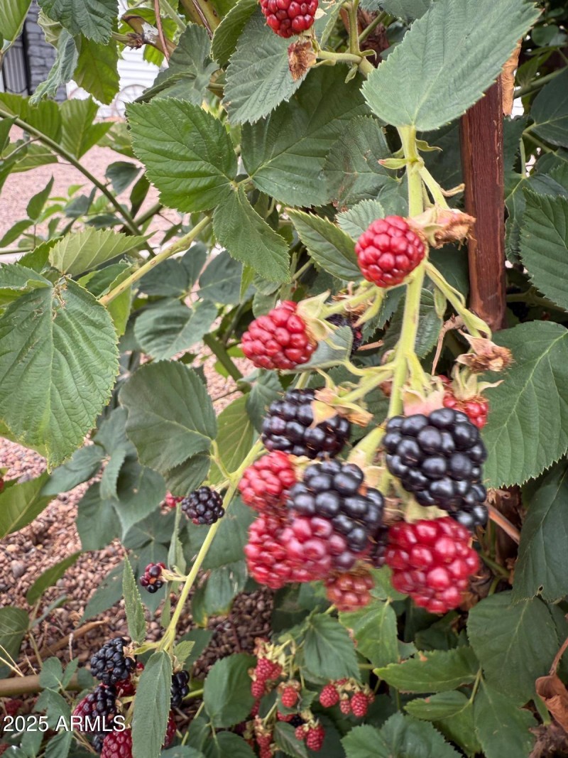 e058fced-0589-4bd9-9c6b-8342e80da739