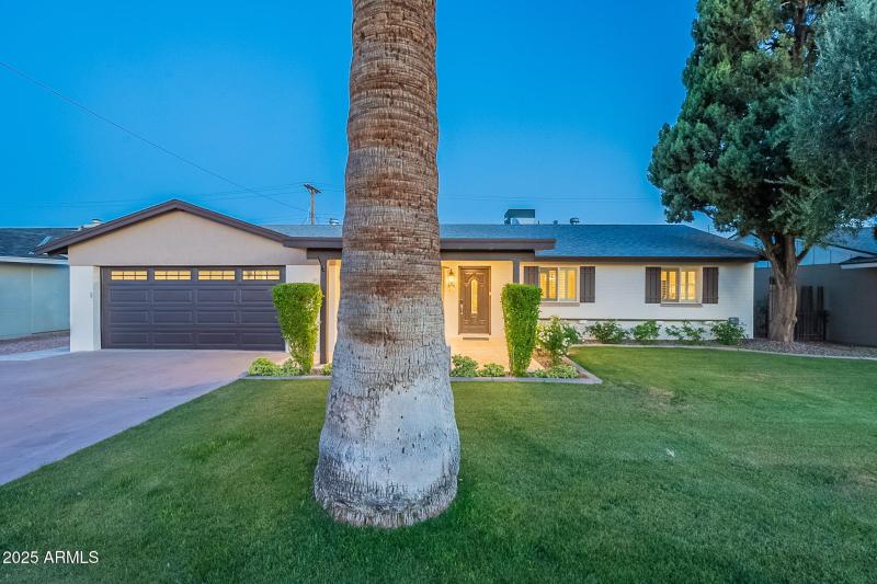 66-web-or-mls-Cypress-twilight-13