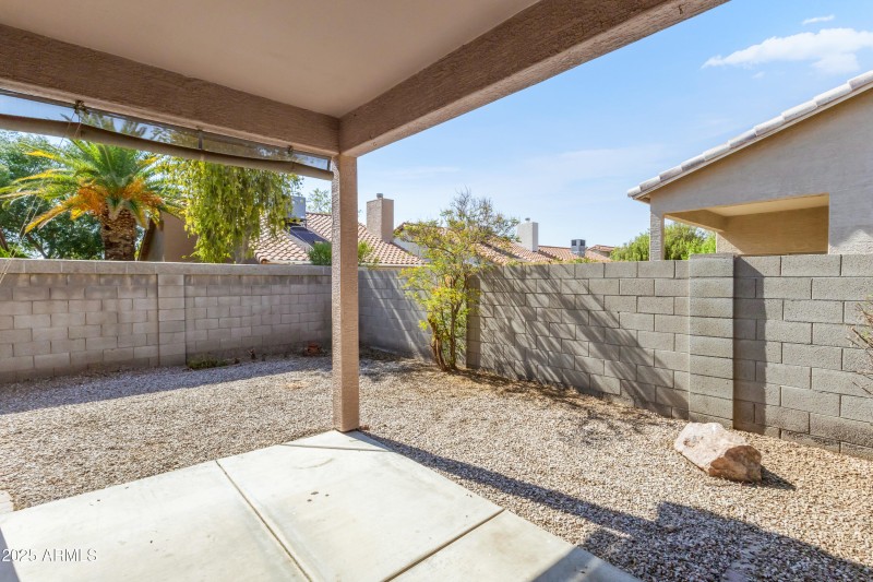 Backyard