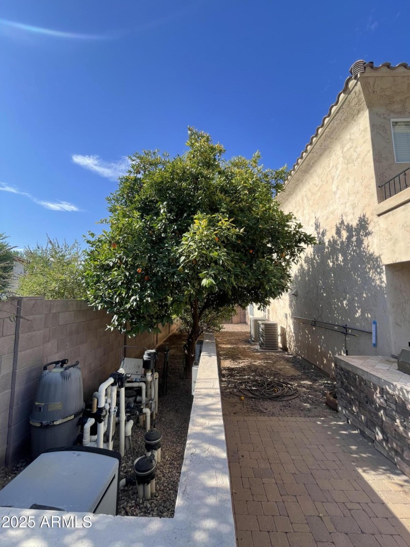 Side Yard