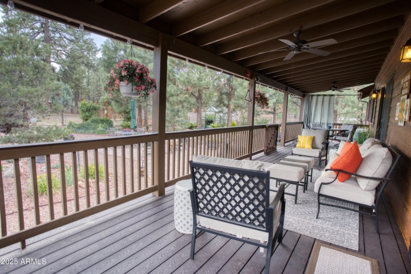 Paxmanphoto_PAX_8182