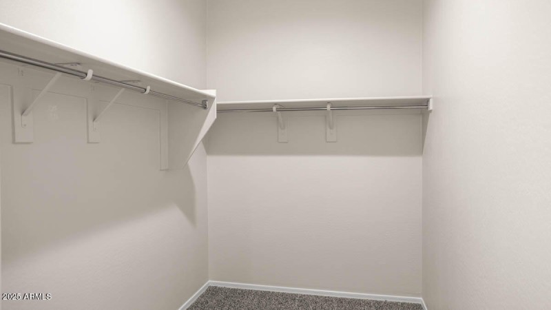 Mockingbird-Estrella Vista-3730-Buckeye-