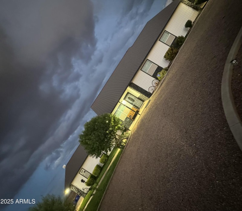 Apple Blossom at night