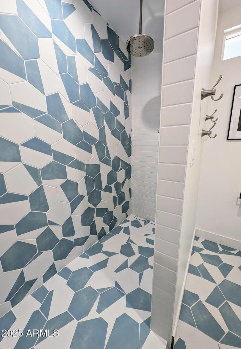 Hall Bath Shower 2