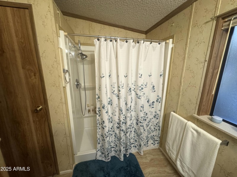 Master Bath Step-In Shower