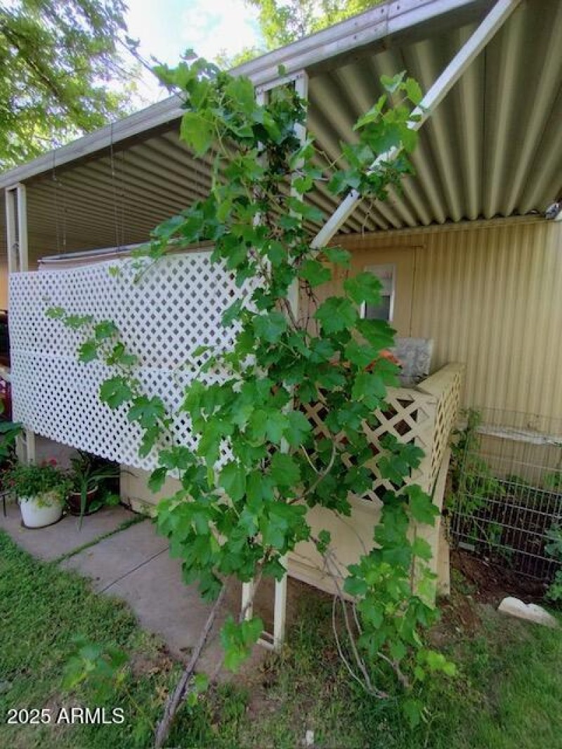 IMG_20250609_162538337_HDR