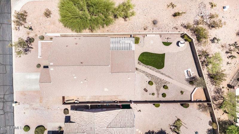 53 - Desert Honeysuckle Drone