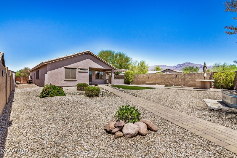 45 - Desert Honeysuckle