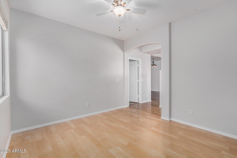 32 - Desert Honeysuckle