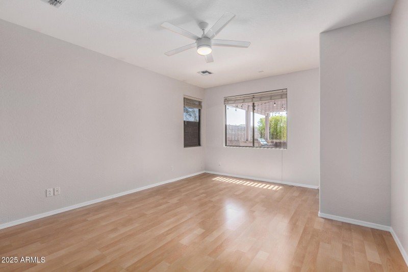 21 - Desert Honeysuckle