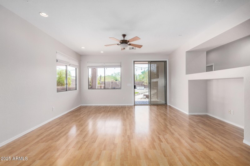 14 - Desert Honeysuckle