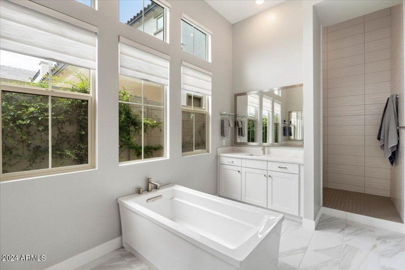 Master Bathroom Tub