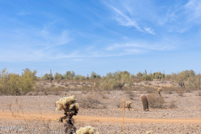 20250221223106810123000000-o