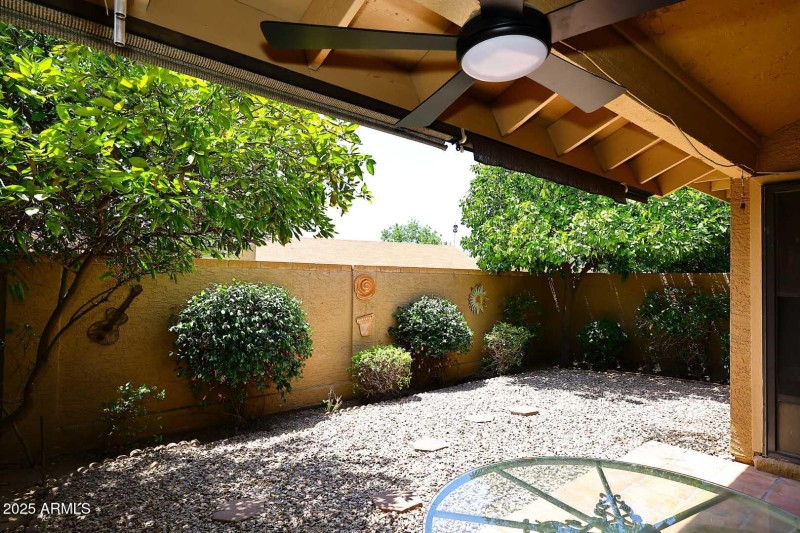 Covered Patio-View