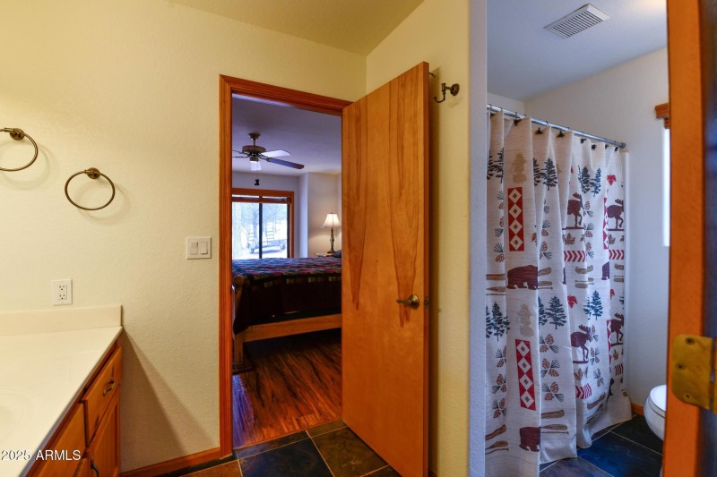 Downstairs bathroom/master