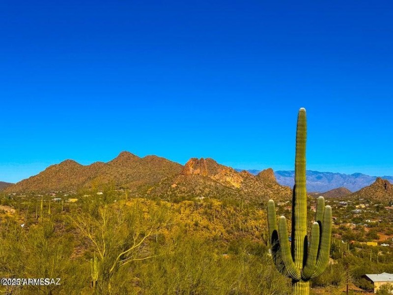 20250130032423302261000000-o (1)