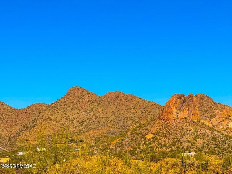 20250130032425844514000000-o (1)