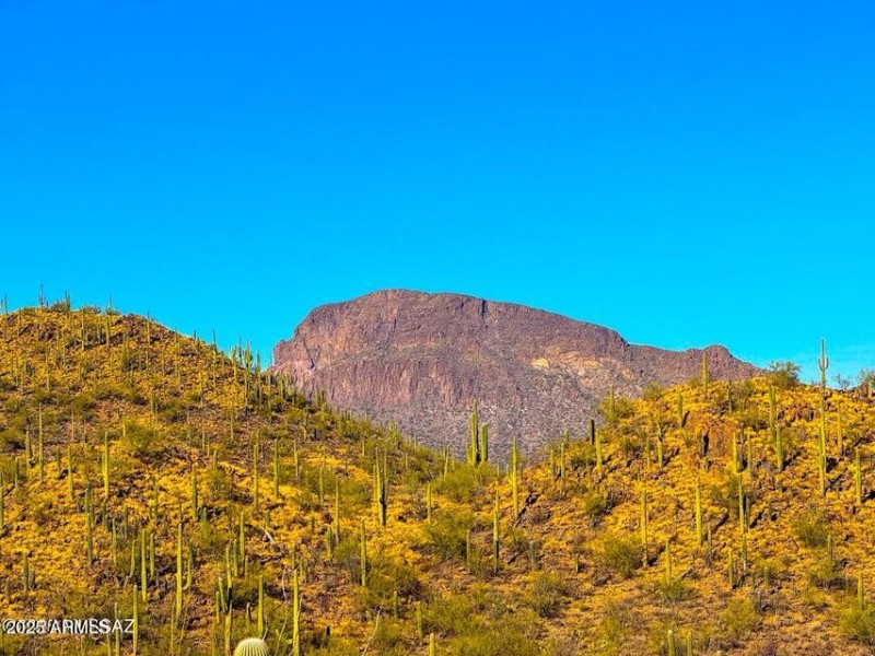 20250130032424567792000000-o (1)