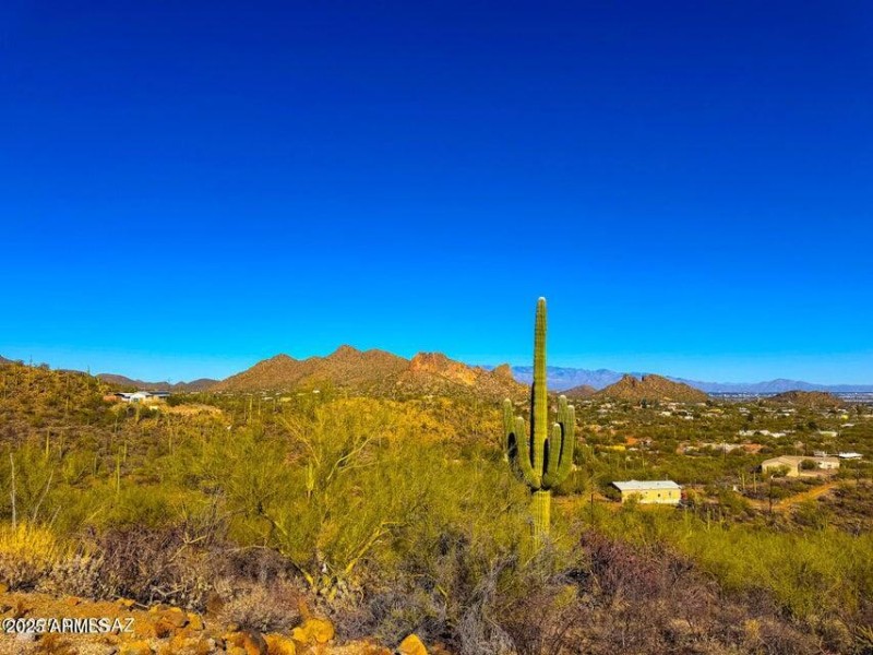 20250130032427151754000000-o (1)