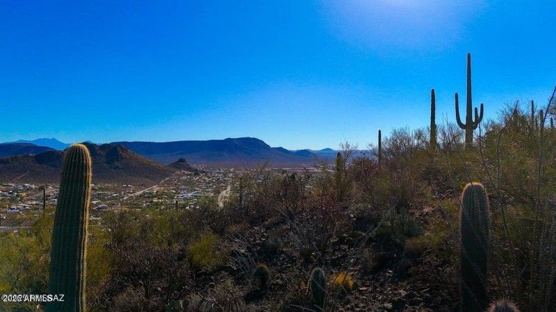 20250130032430870399000000-o (1)