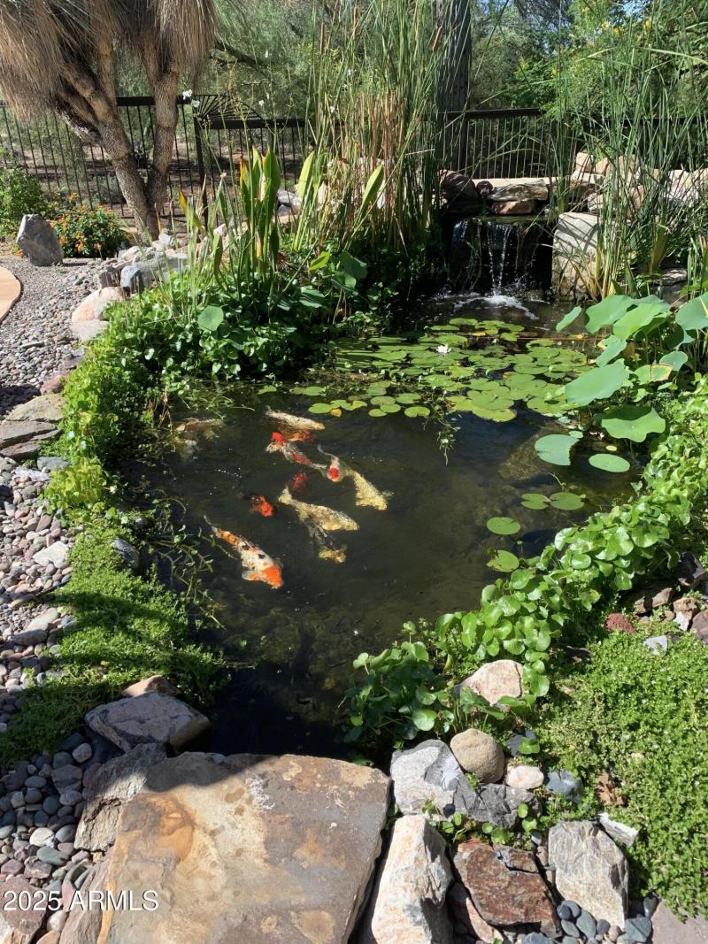 68227345272__AE7E8841-7FD0-4756-99B9-C96