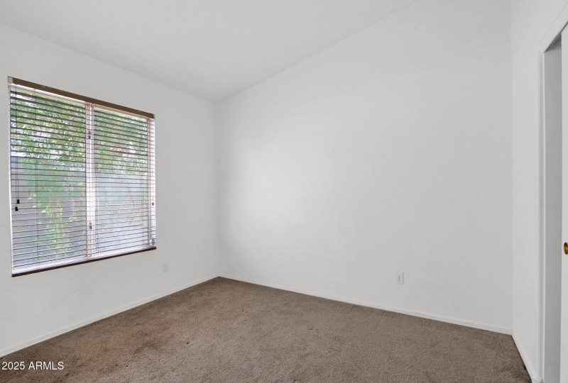 19-web-or-mls-P1279835