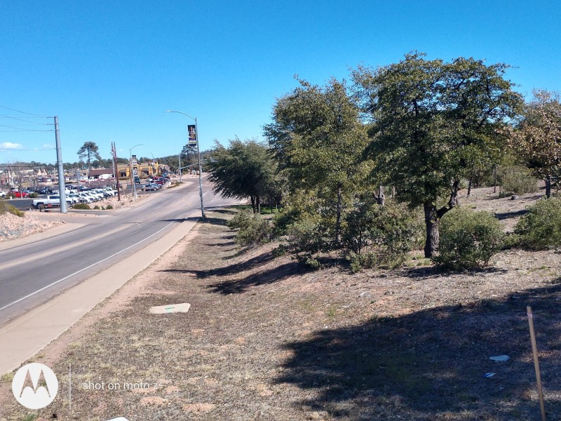 IMG_20200304_142016368_HDR