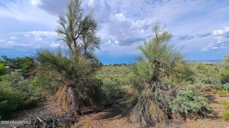 20240805192231453481000000-o