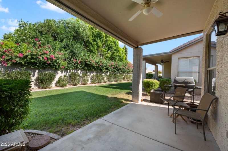 Covered Patio / Roll Down Shade