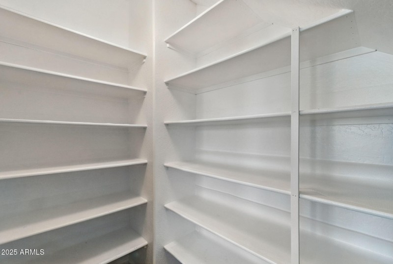 40-web-or-mls-Wildflower-40