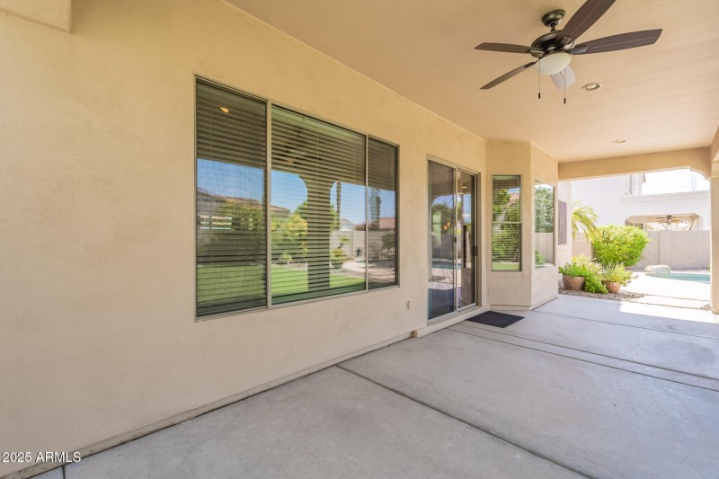 80-web-or-mls-Wildflower-80