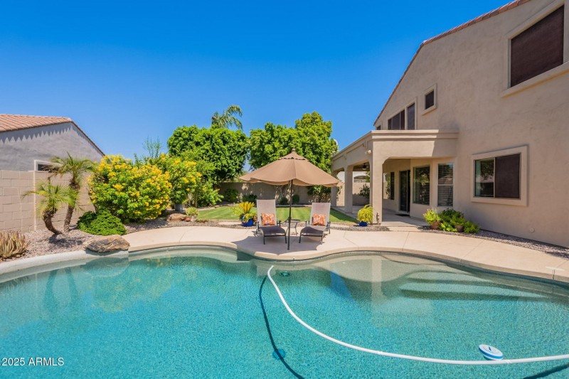 86-web-or-mls-Wildflower-86