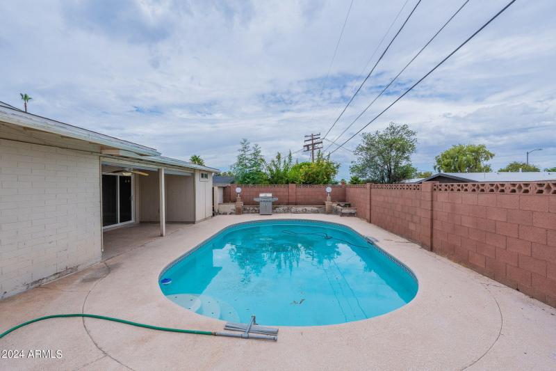 47-web-or-mls-Orchid-47