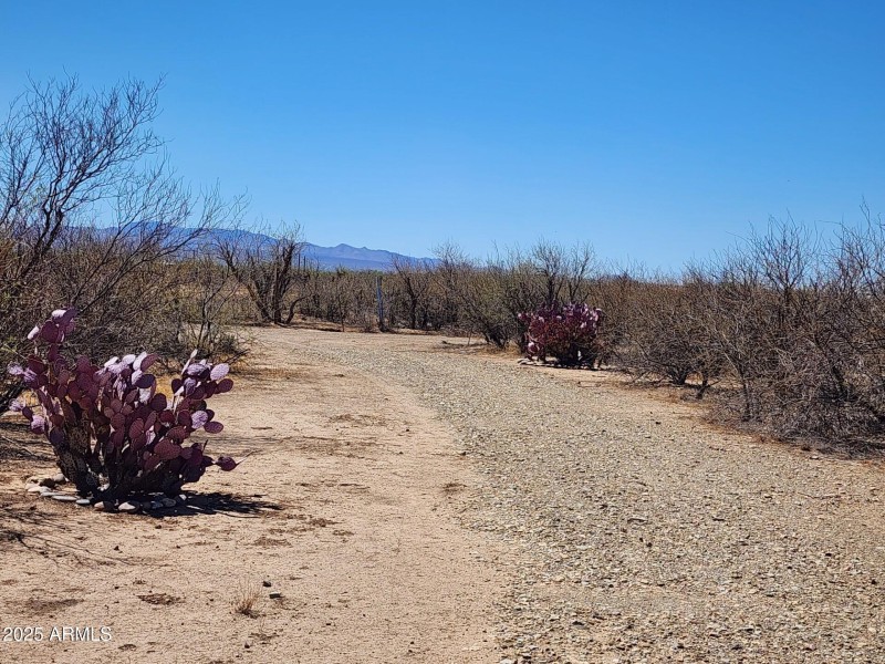 13122 W DUSTY FLAT PL