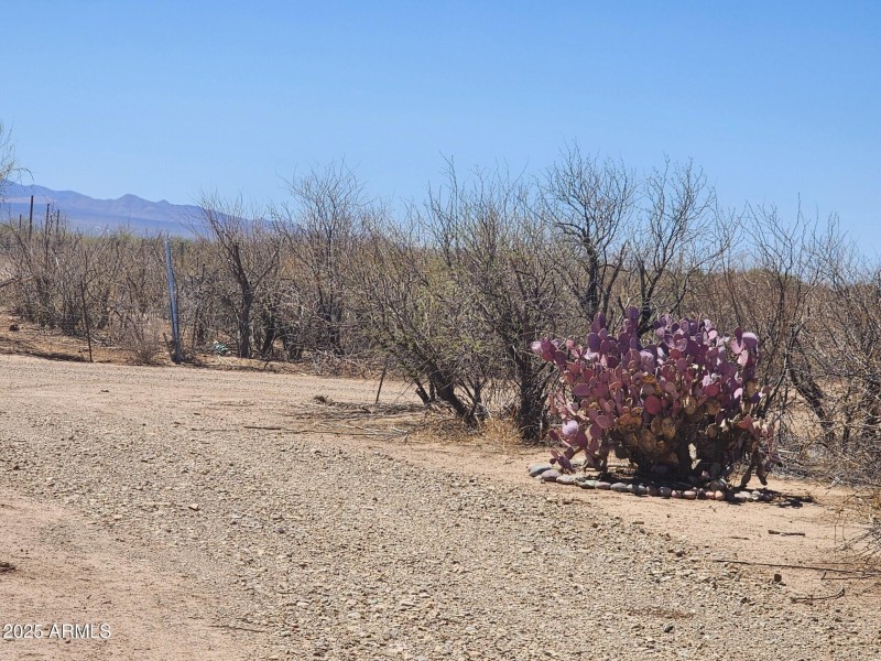 13122 W DUSTY FLAT PL