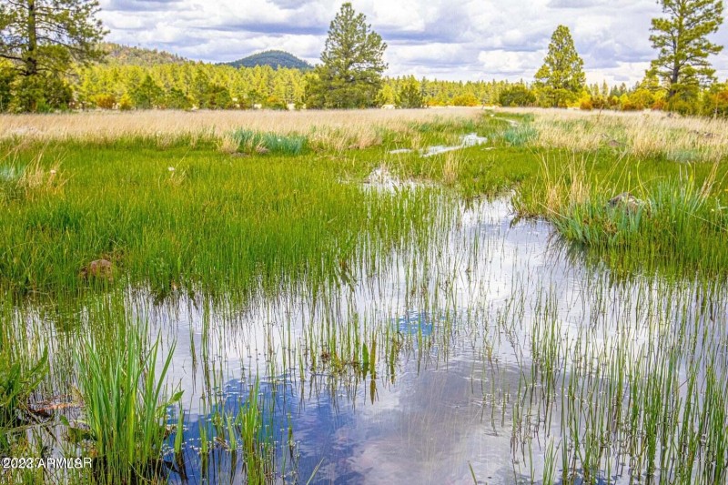 20230525014031219010000000-o