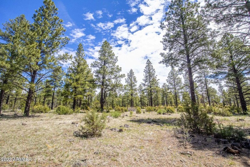 20230525013833211239000000-o