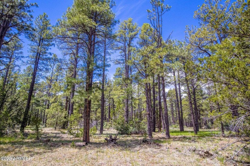 20230525013848005913000000-o