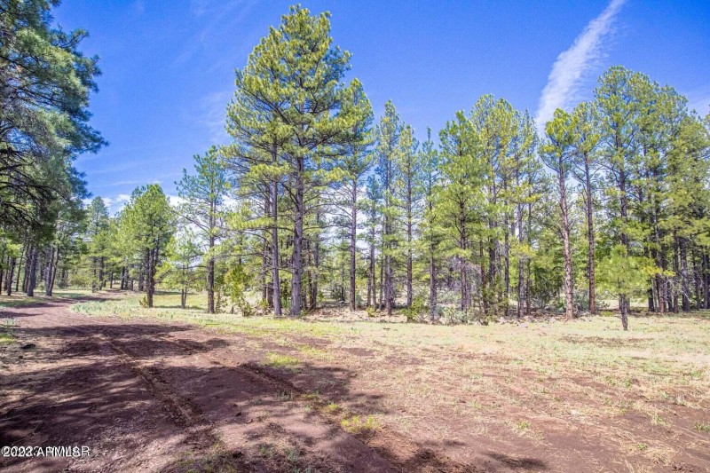 20230525013955854230000000-o