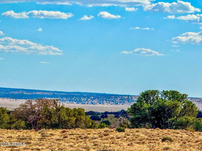 20250815022423357362000000-o