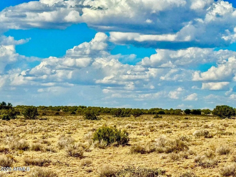 20250815025247530634000000-o