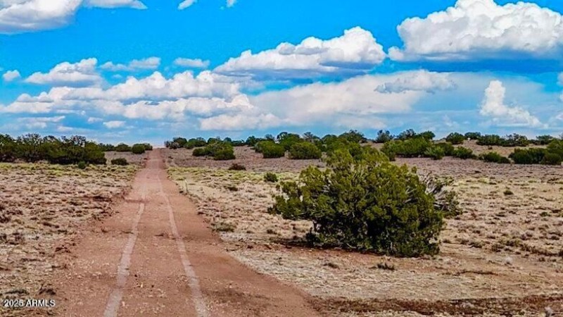 20250815022037495728000000-o