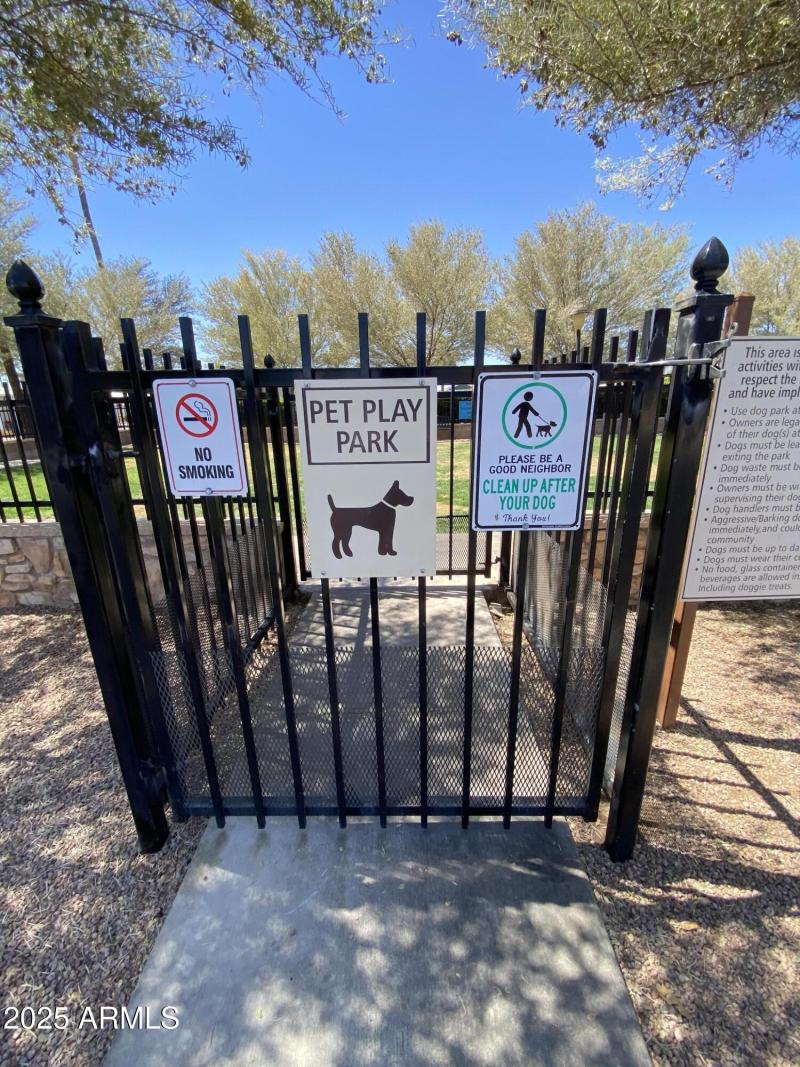 dog park